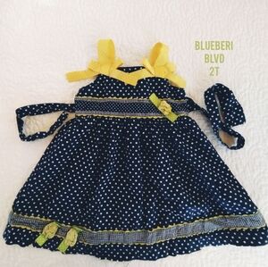 Blueberi Boulevard summer sundress girl 2t Rosettes bows polka dots gingham